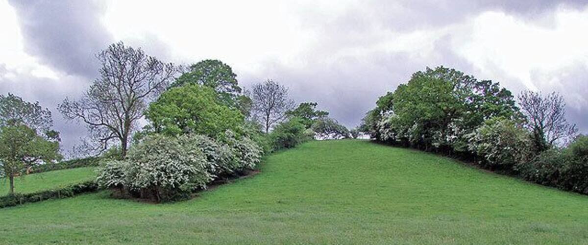 A grassy hill with trees and a cloudy sky.