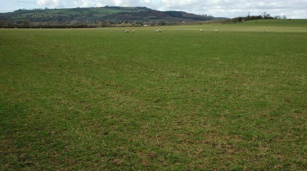 Grazing land at Sedgeberrow View across grazing land to the south of Sedgeberrow, just inside the county of Worcestershire. Bredon Hill is in the background.