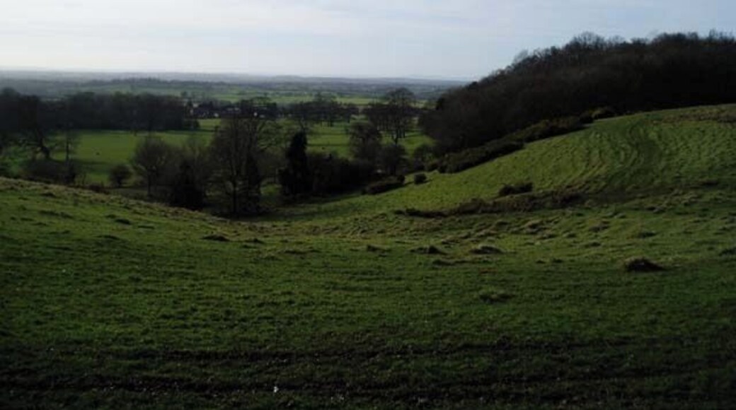 View towards Slade Wood