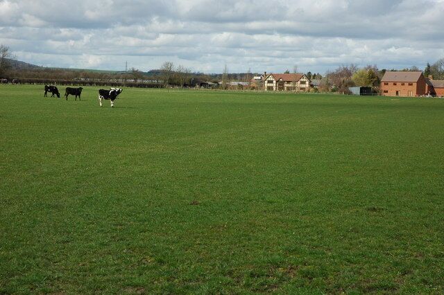 A green field with cows grazing, a farmhouse, and a barn in the background.