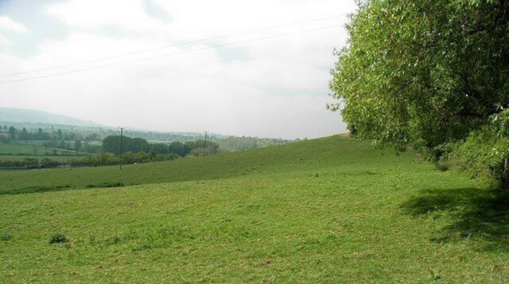 Footpath beside Craycombe Coppice