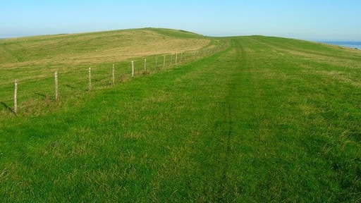 South Downs Way Long distance footpath and bridleway heads towards Firle Beacon.