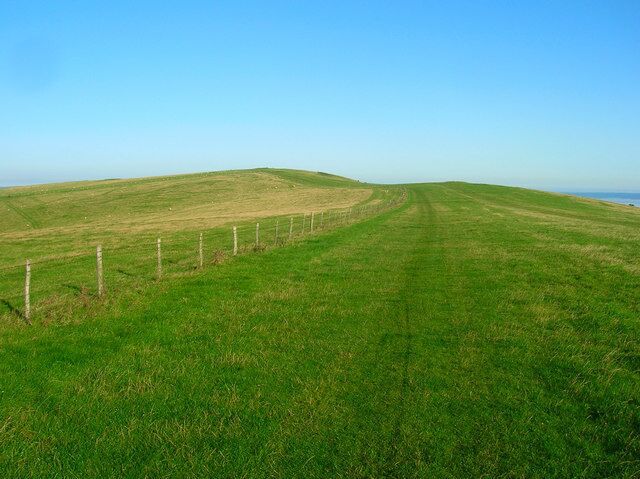 A vast green field with a fence running along the left side.