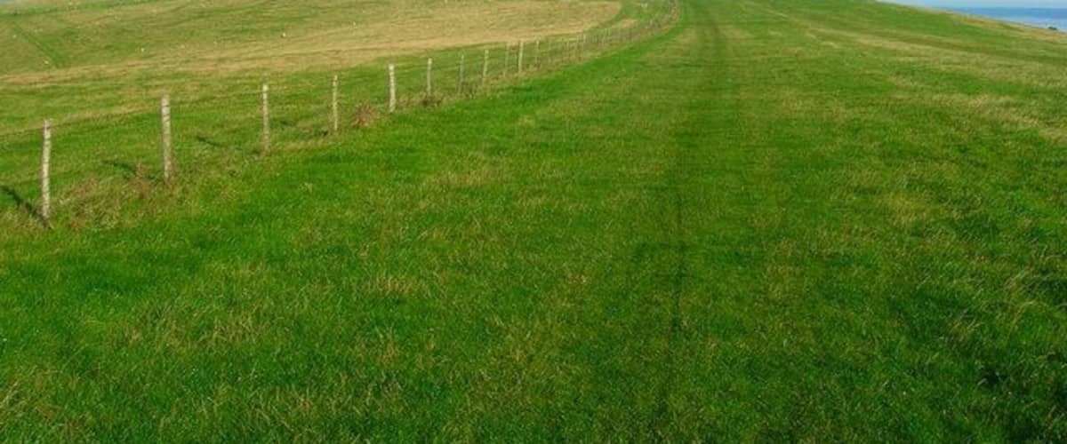 A vast green field with a fence running along the left side.