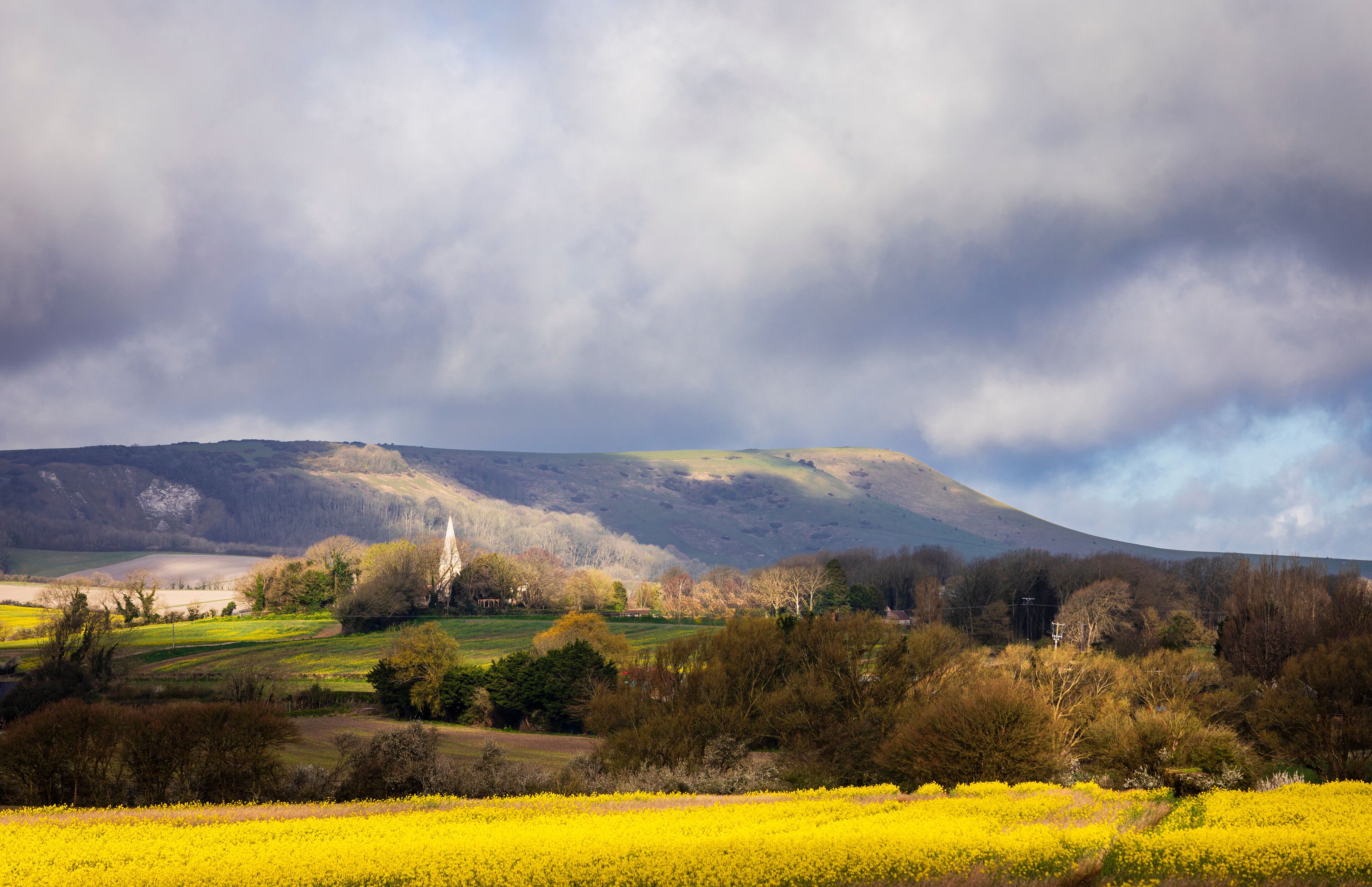 A landscape with a mountain, fields of yellow flowers, and a cloudy sky.