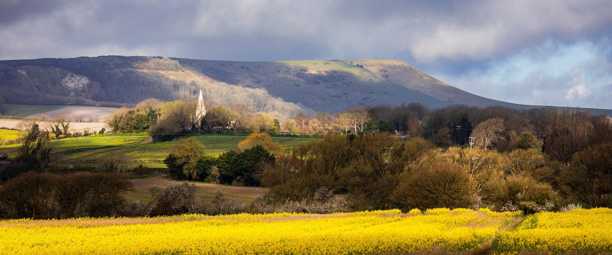 A landscape with a mountain, fields of yellow flowers, and a cloudy sky.