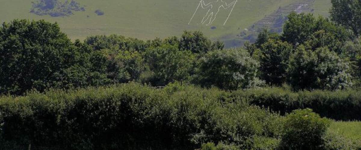 Una colina verde con un sendero y algunos árboles en primer plano.