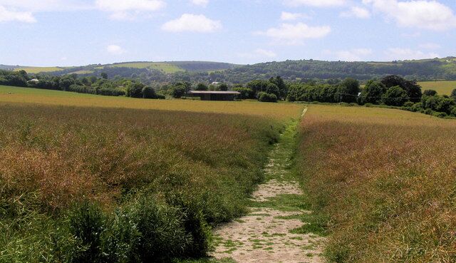 The Rookery, Milton Street Looking down towards Milton Court Farm. The map shows an earthworks here but little trace is visible today.