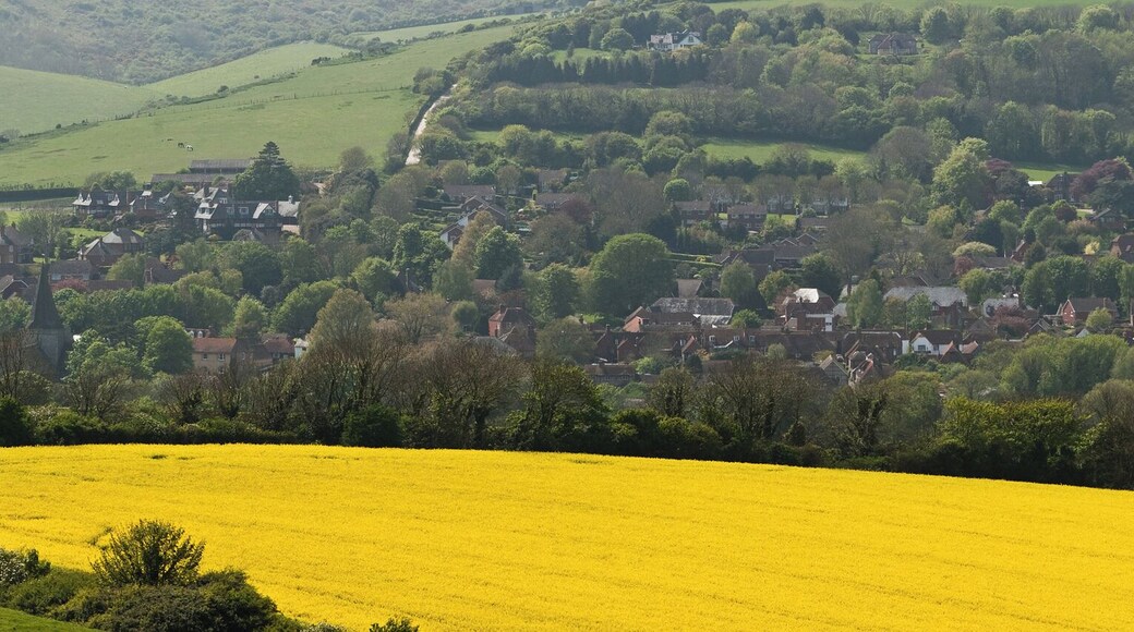 A panoramic view of the village of Alfriston in East Sussex, England.