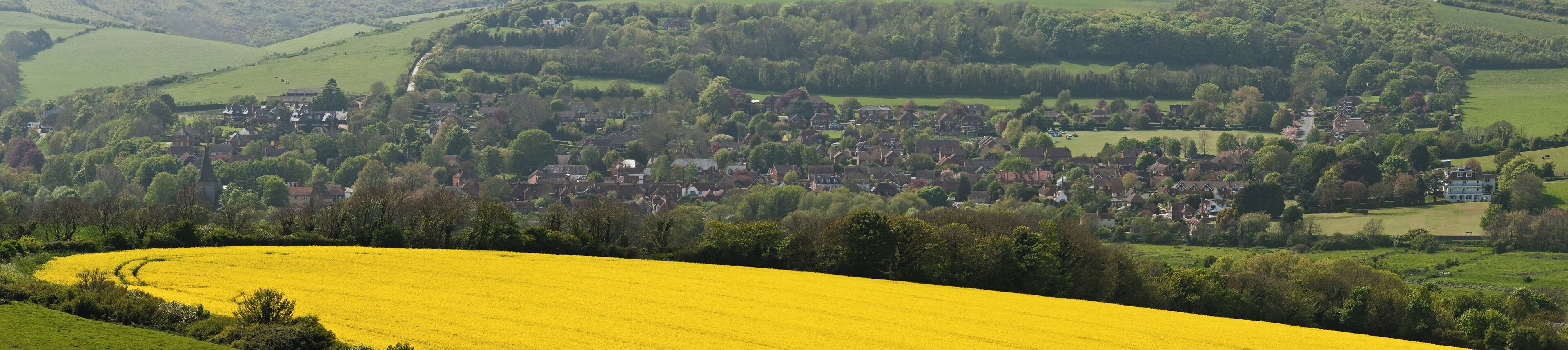A rural landscape with a village nestled among rolling hills and fields of yellow flowers.