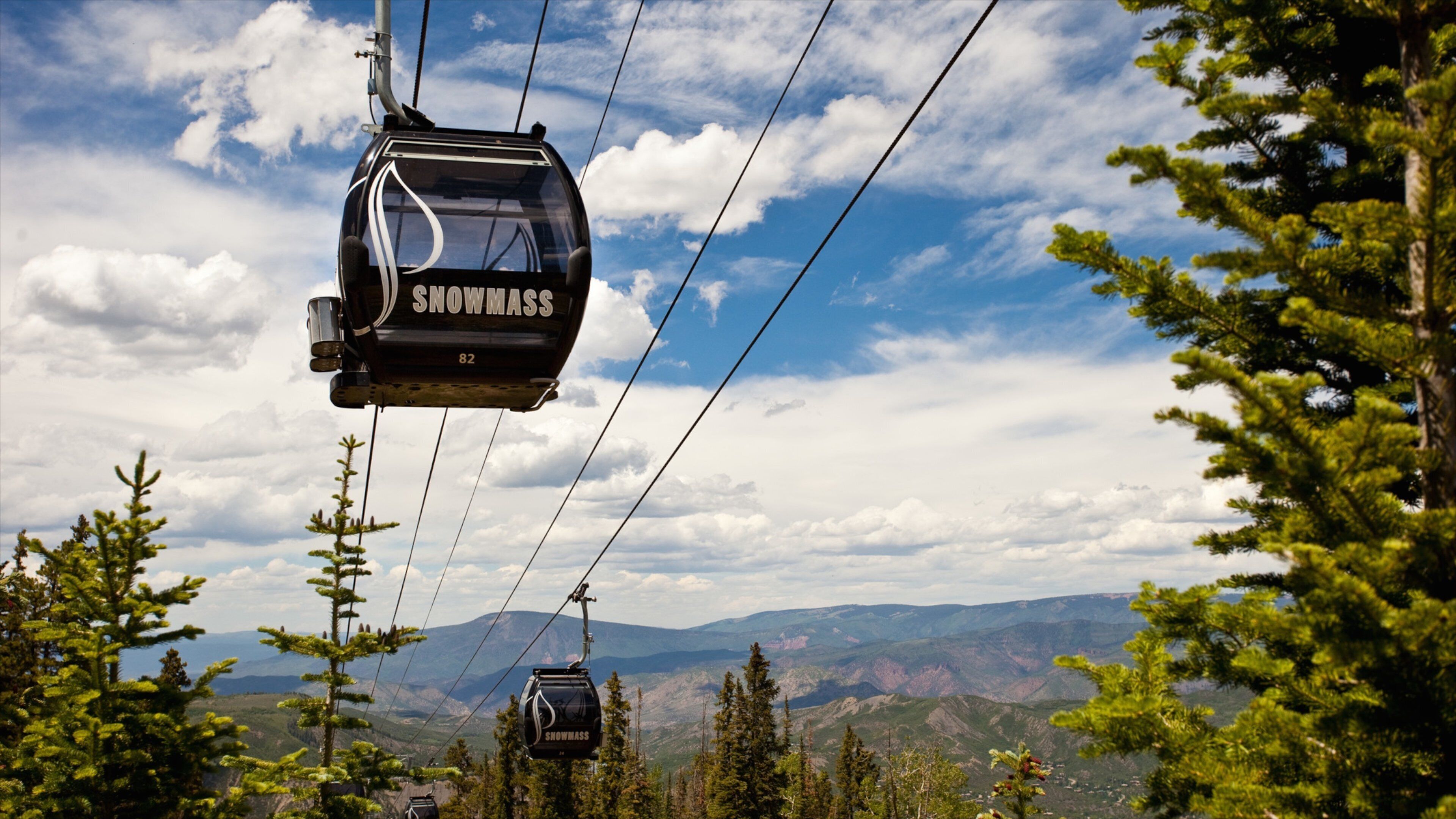 A cable car labeled "SNOWMASS" suspended between trees with a mountainous landscape in the background.