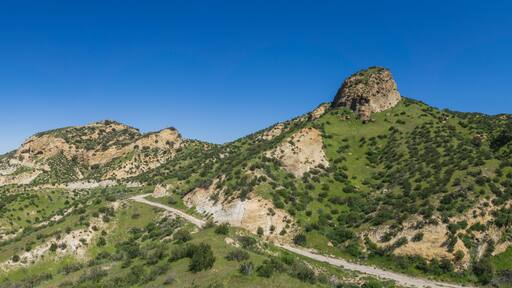 Hiking Path through California Grass Canyon