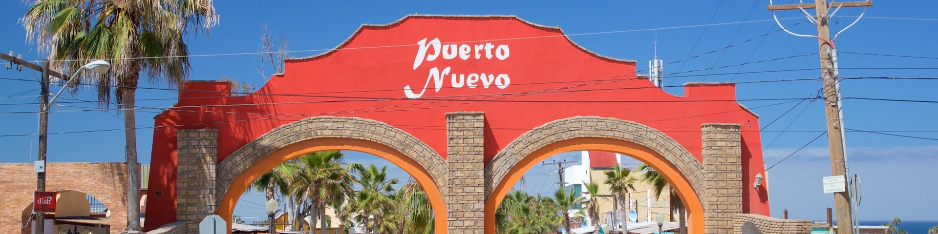 Puerto Nuevo showing tropical scenes