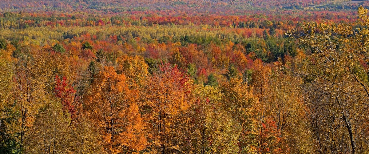 A forested mountain range with autumn foliage.