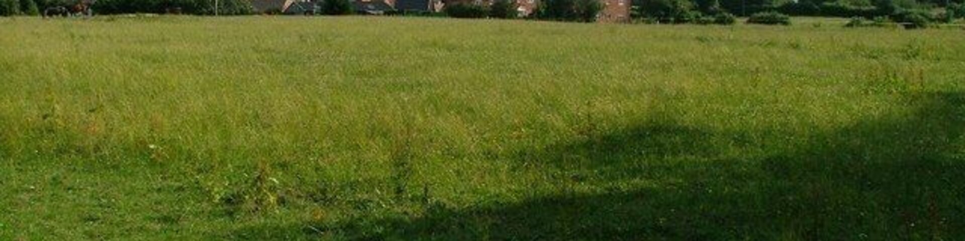 Un campo verde con casas al fondo.