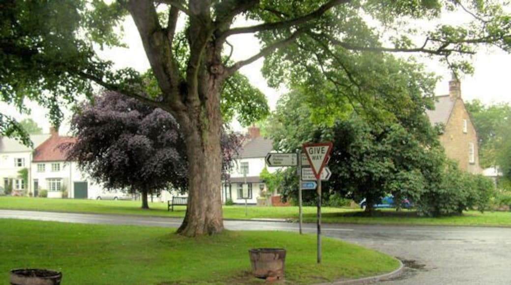 A corner of the Green at Hutton Rudby The dwellings opposite are at the eastern end of a row known as North Side. It seems, that as if by accident the Green has been cut in two by the road to Yarm, seen here going off to the left.