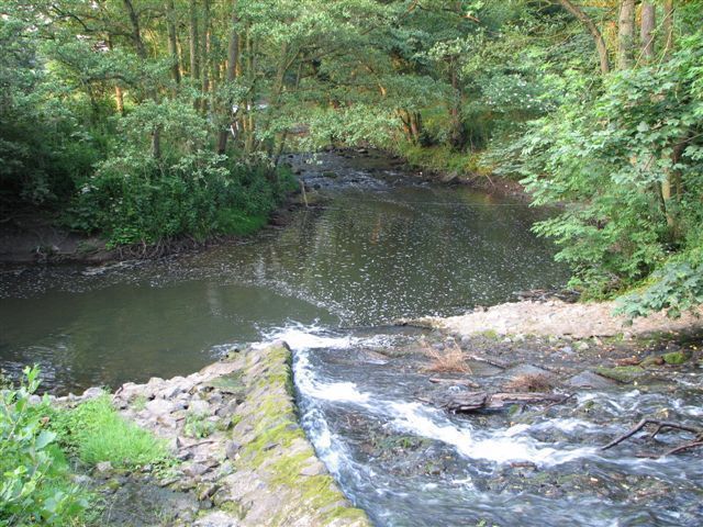 Coul Beck joining the River Leven, just above Rudby, N. Yorks.