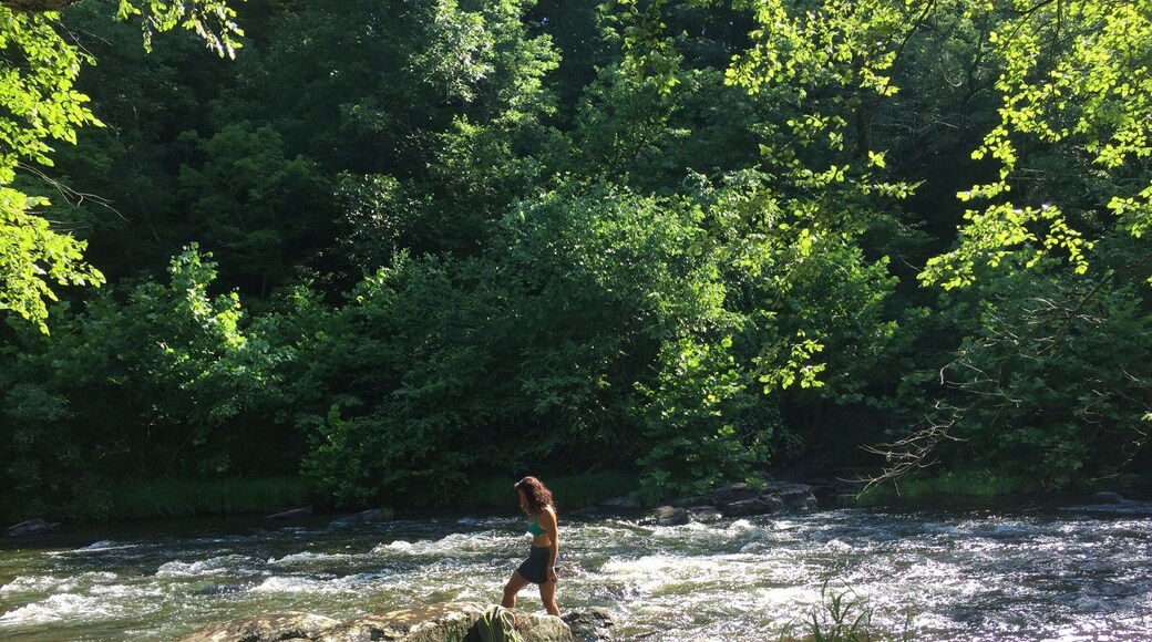 Serene local trail never too populated always a great hike.