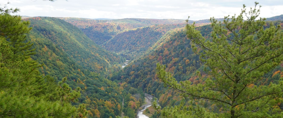 Pennsylvania Grand Canyon