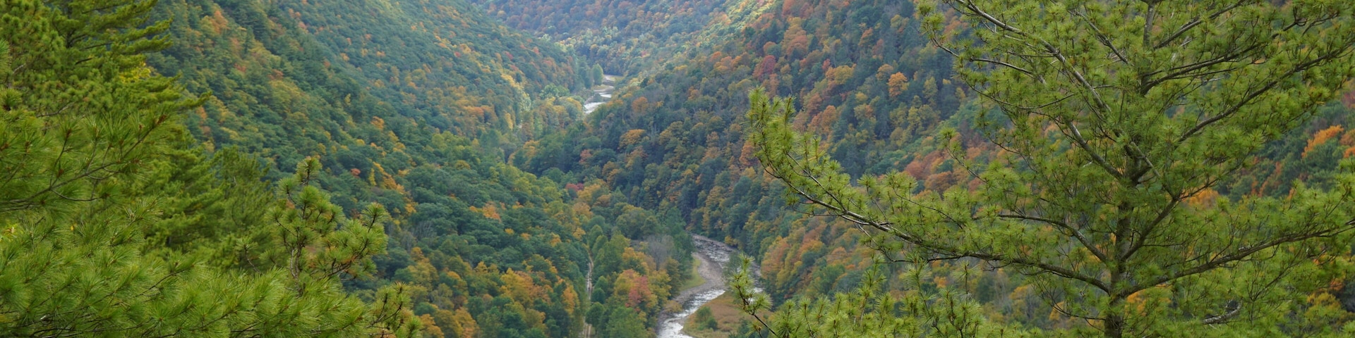 A valley with a river, surrounded by dense forests and hills.