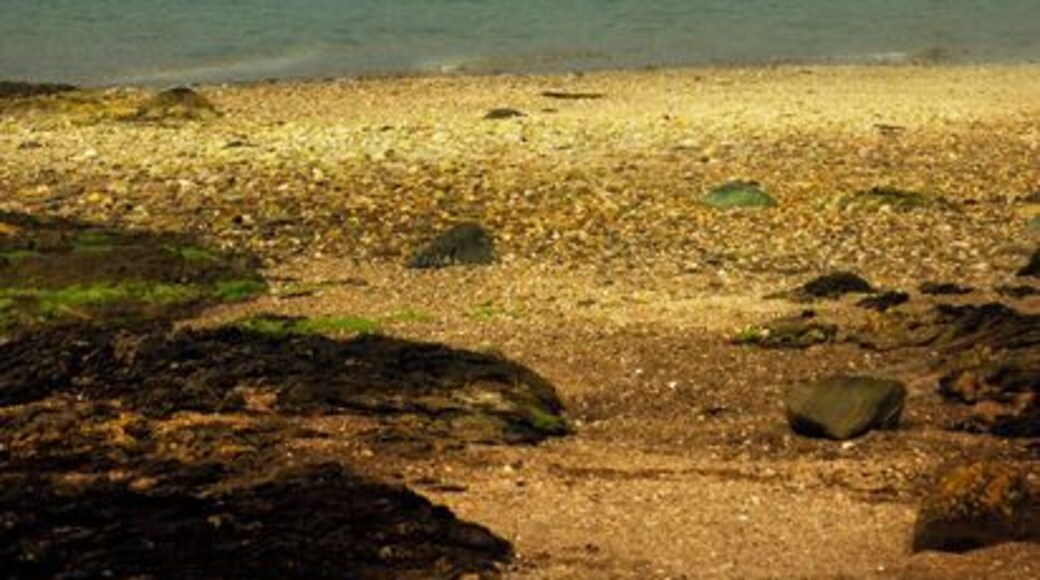 Kilfinan Bay, Loch Fyne The sandbank at high tide.