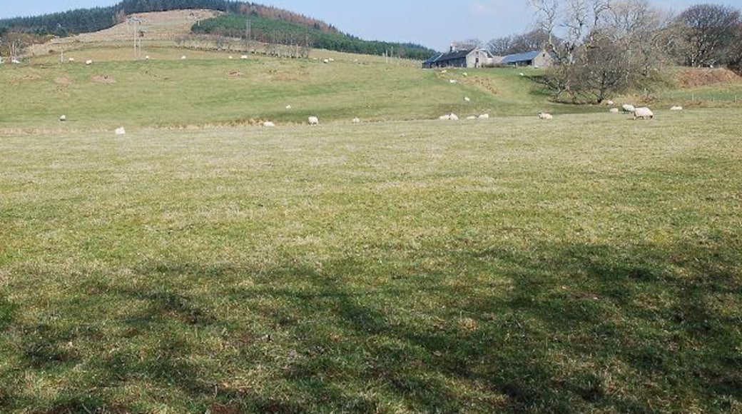 Lindsaig A farm on the Otter Estate, close to Kilfinan.
