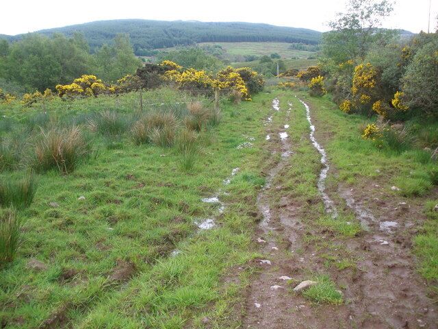 Muddy track to Aucharossan Farm