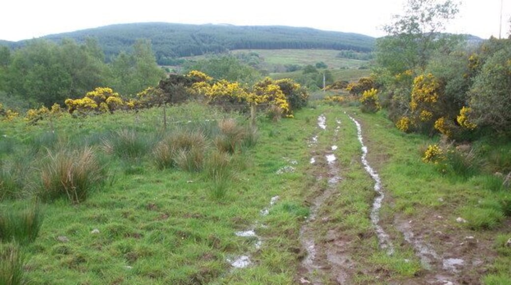 Muddy track to Aucharossan Farm