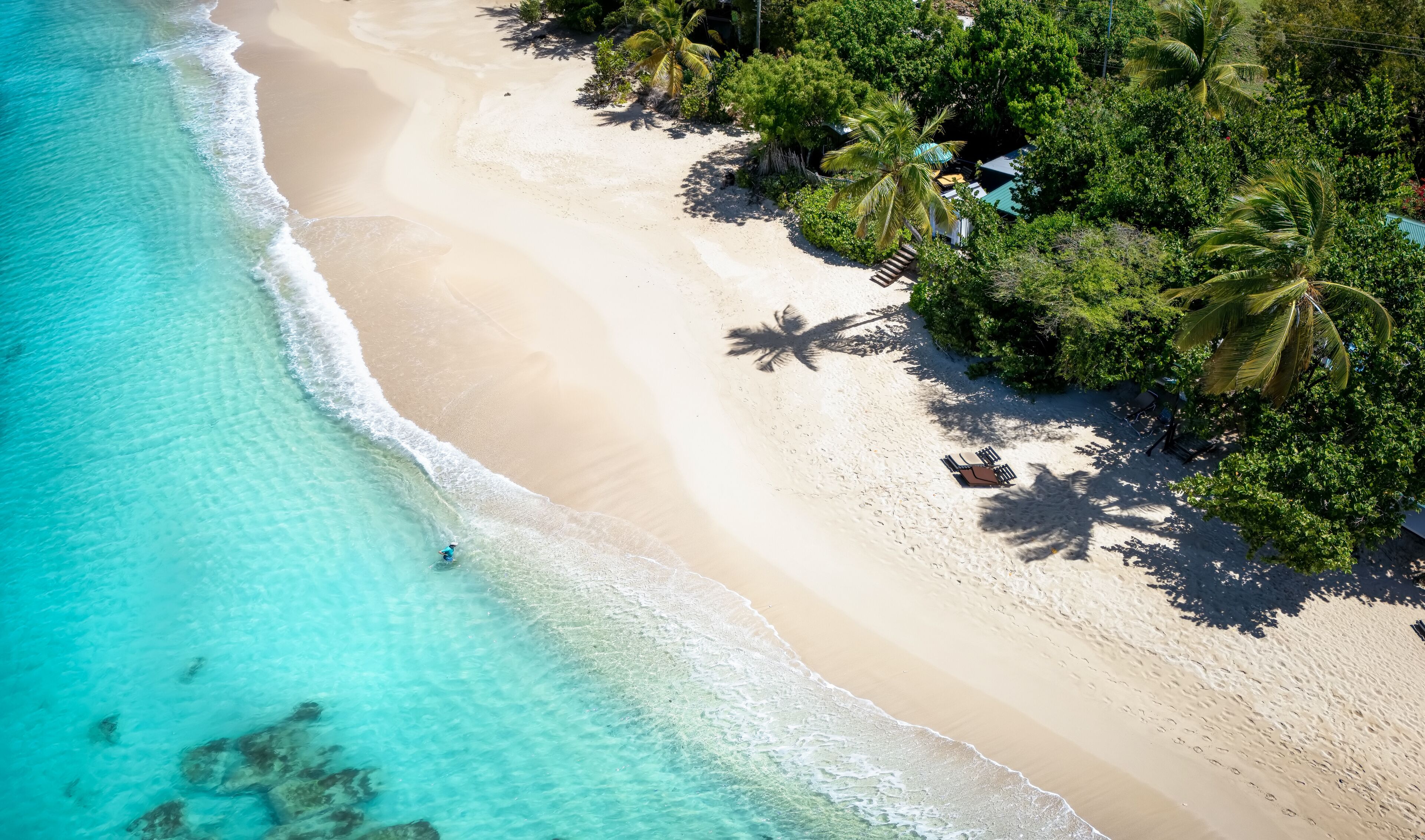 Una playa turquesa con aguas cristalinas, una orilla arenosa y abundante vegetación.