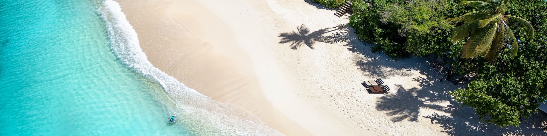 Una playa turquesa con aguas cristalinas, una orilla arenosa y abundante vegetación.