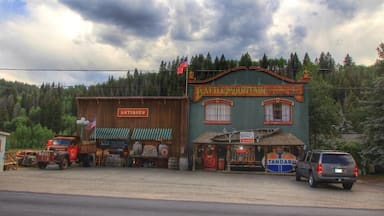 I just stopped and shot this on the way to Avon, never had a chance to look it over, but the building looked really interesting and filled with cool old stuff. Ill be back soon to update this