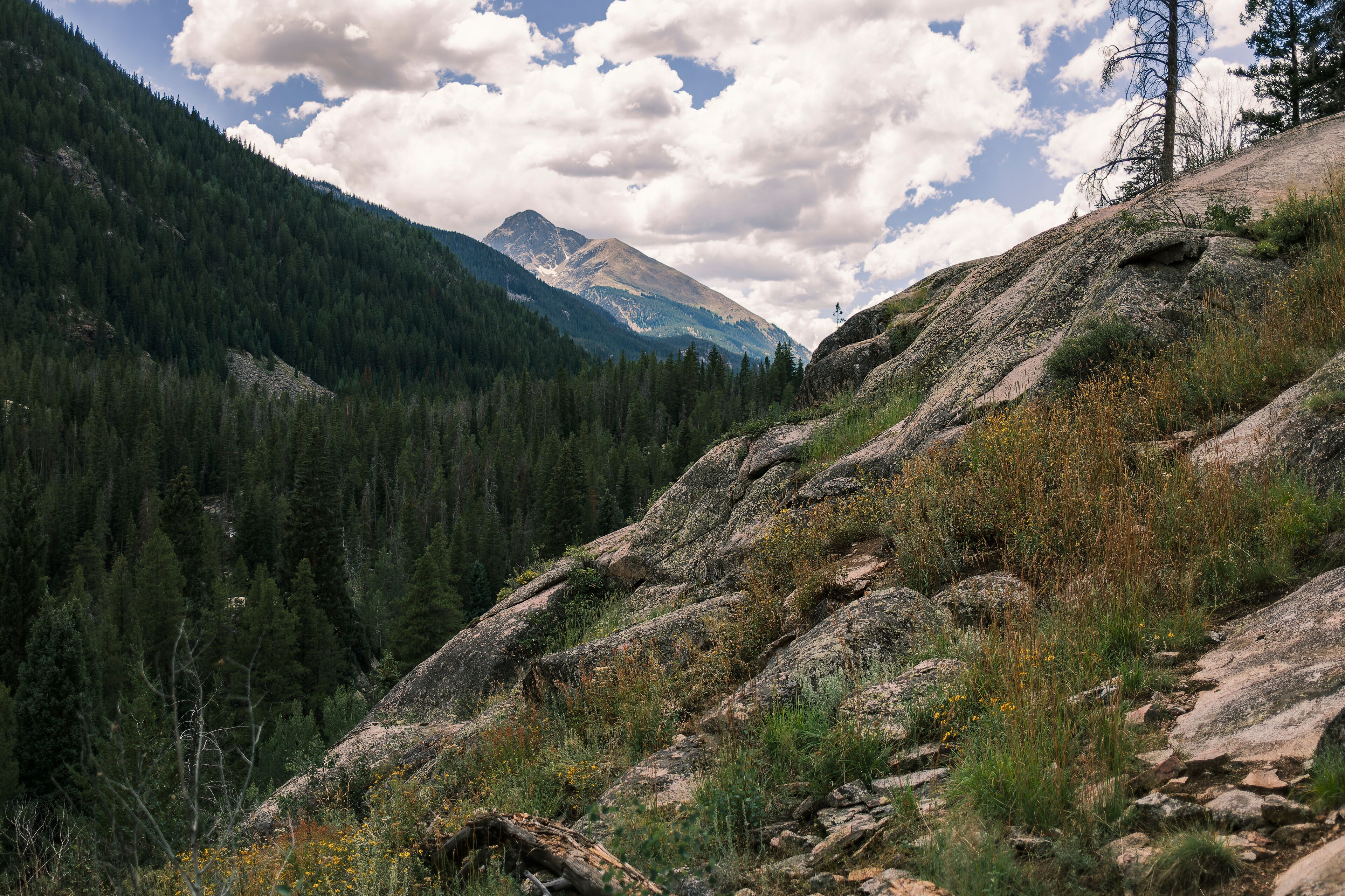 Mount of the Holy Cross, Colorado