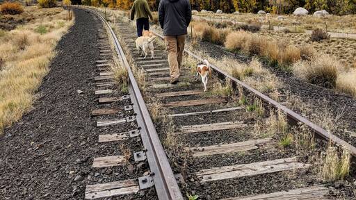 Following the tracks into the autumn distance #Autumn #Trovember #Railroad