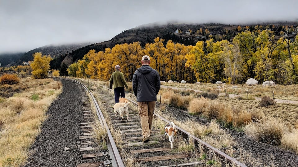 A railway track with a person and two dogs walking on it, surrounded by autumn-colored trees and a misty hill in the background.