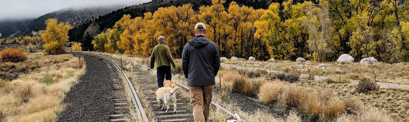 A railway track with a person and two dogs walking on it, surrounded by autumn-colored trees and a misty hill in the background.