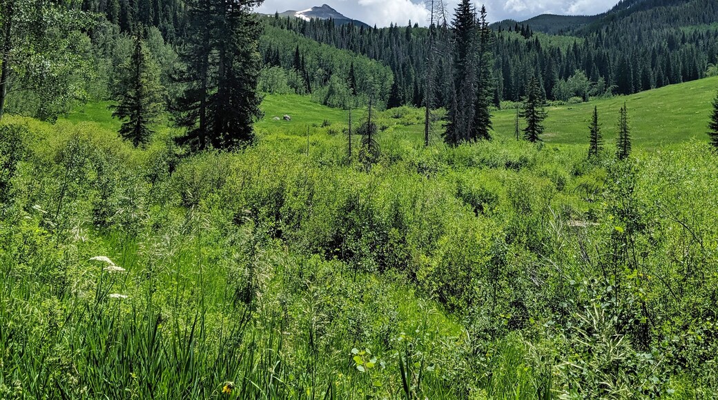 Ah, the valley views #Trovember #GetOutside