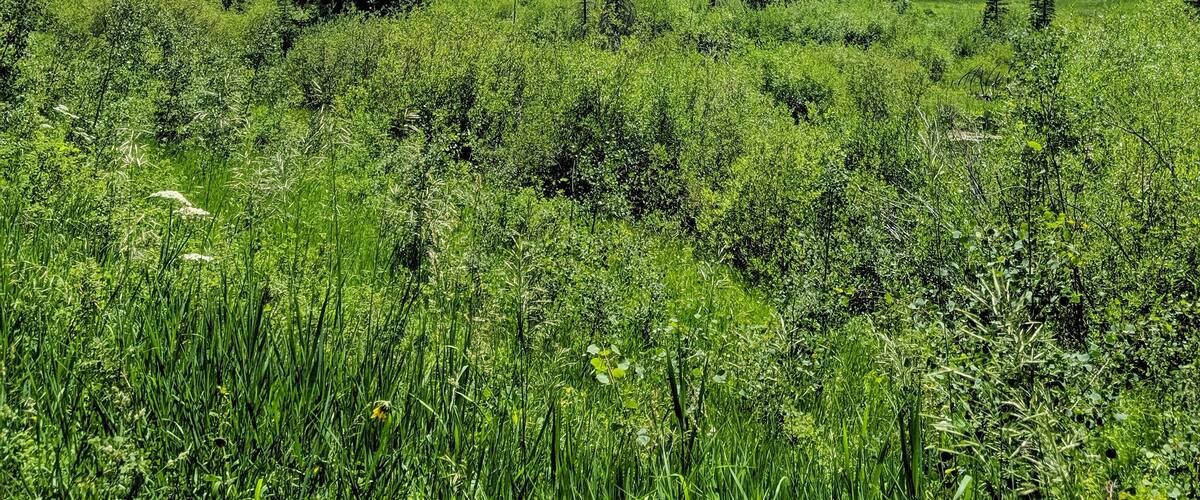 Ah, the valley views #Trovember #GetOutside