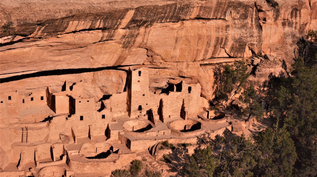 Ancient cliff dwellings carved into a canyon wall.