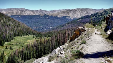 The Alpine Tunnel is an 1800ft long railroad tunnel at an elevation of 11,523 Ft. It was the first railroad tunnel through the Continental Divide and the U.S. Forest Service says “ it remains the highest railroad tunnel and the longest narrow gauge tunnel in North America”. The rail bed up to the tunnel is now a hiking trail. The people that built this were “badass”