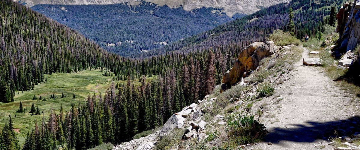 A mountainous landscape with a clear sky, a dirt path, and dense forests.
