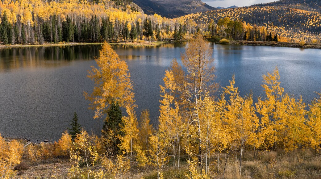 Shaw Lake is located in the Rio Grande National Forest near the town of South Fork, Colorado. Shaw Lake is noted for outdoor recreation activities, such as hiking, water sports and fishing.