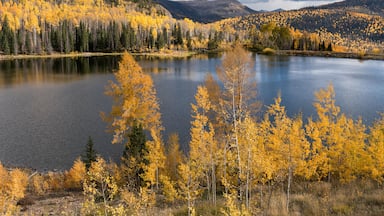 Shaw Lake is located in the Rio Grande National Forest near the town of South Fork, Colorado. Shaw Lake is noted for outdoor recreation activities, such as hiking, water sports and fishing.