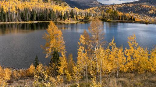 ์ฌ์ฐ์ค ํฌํฌ