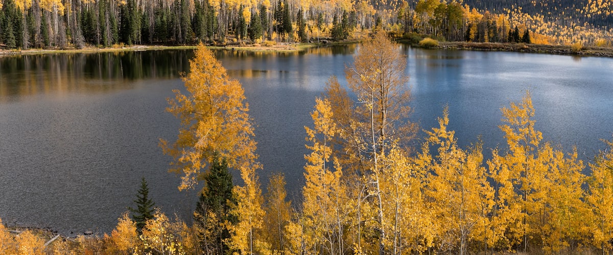 A lake surrounded by autumn-colored trees and distant mountains under a clear sky.