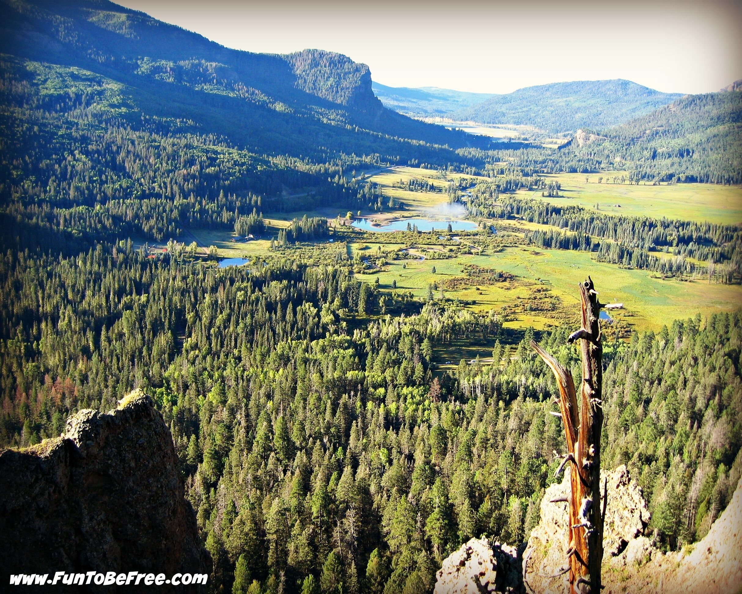 Rio Grand National Forest Colorado.

Beautiful drive and excellent area to explore.  I will be coming back to this area for sure. #RoadTrip
