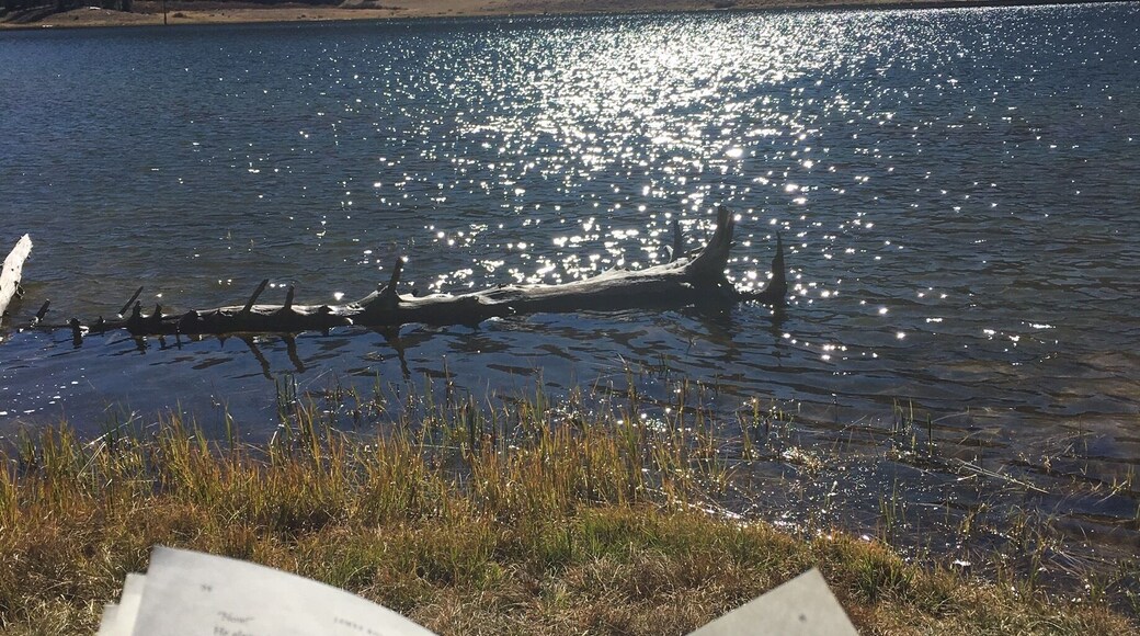 There's something cool about having the entire lake to ourselves for dispersed camping. Incredible 360 views.🏕🏔