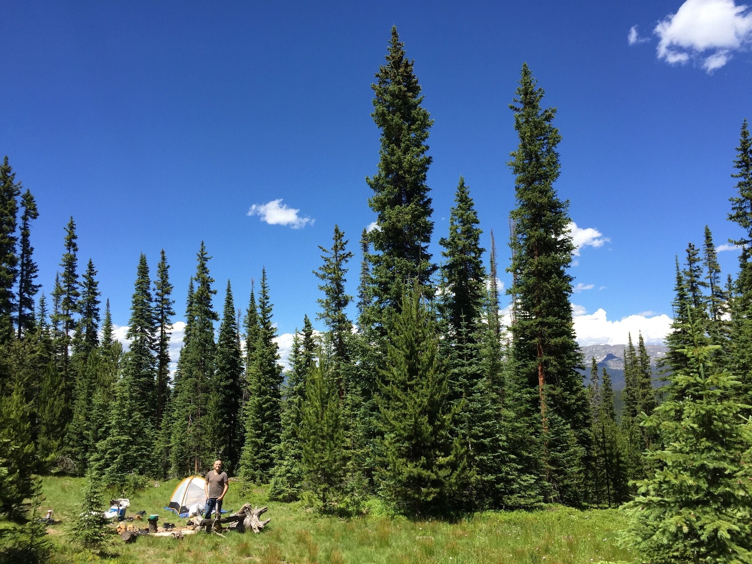 We took our first solo camping trip this weekend! I would recommend Meadow Creek campground, but don't take a car that's been lowered... #colorado #meadowlake #camping