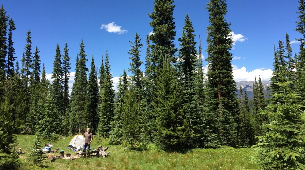 We took our first solo camping trip this weekend! I would recommend Meadow Creek campground, but don't take a car that's been lowered... #colorado #meadowlake #camping