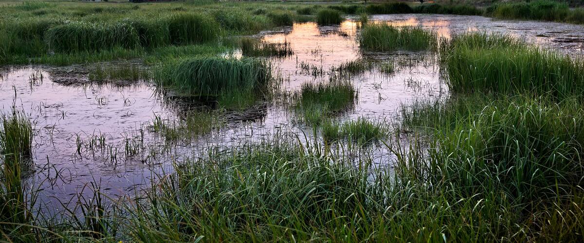 Sunset over wetland area, Fraser Valley, Colorado; Shutterstock ID 700837057; purchase_order: SP-1269 HA 2018 Batch 1; Order: ; client: ; other: