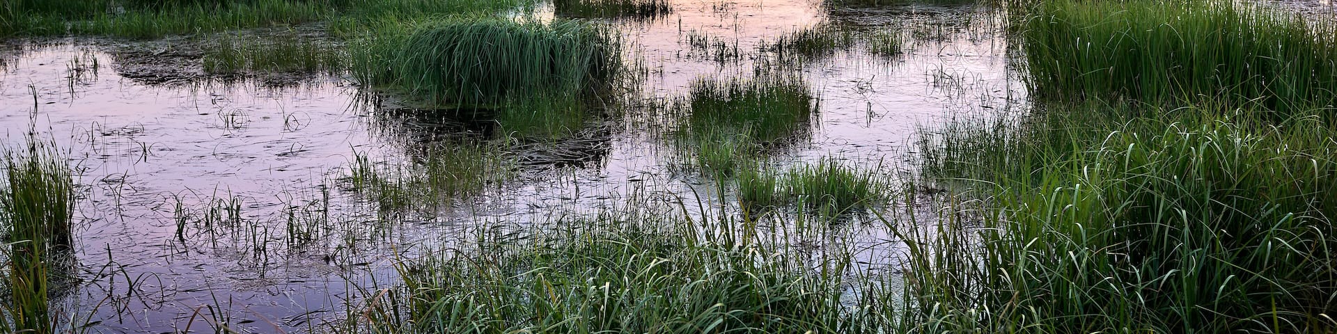 Sunset over wetland area, Fraser Valley, Colorado, Shutterstock ID 700837057, purchase_order: SP-1269 HA 2018 Batch 1, Order: , client: , other: